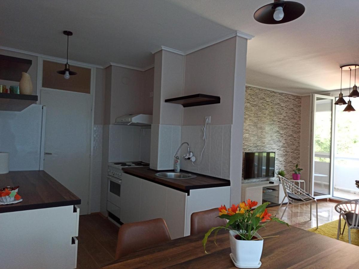 Duka Apartment Ni Екстериор снимка